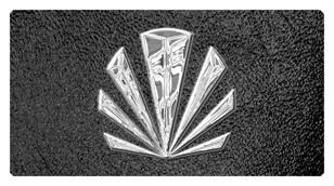 DSC700 602 SL SH BK Silver Sunburst Shimmer Black Background